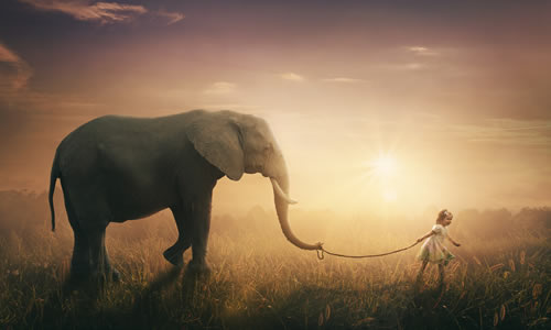 Investor Marketing Little Girl Pulling An Elephant