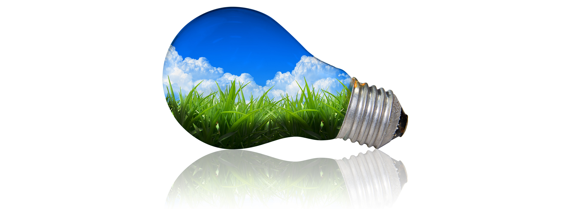lightbulb clean energy